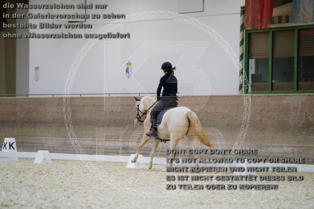 s_K3F02350.JPG